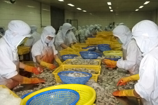 Biometrics for Workforce Management in Seafood Industry